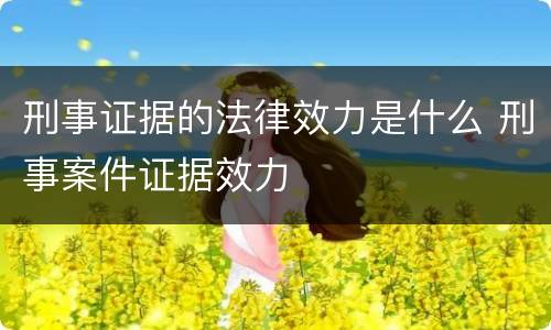刑事证据的法律效力是什么 刑事案件证据效力