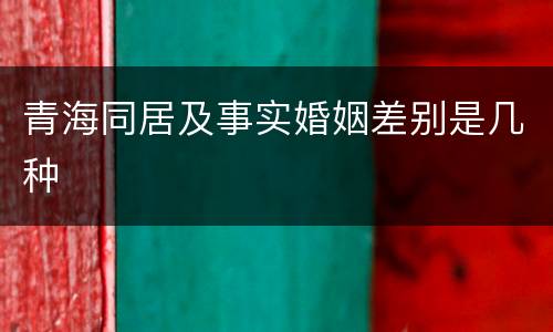 青海同居及事实婚姻差别是几种