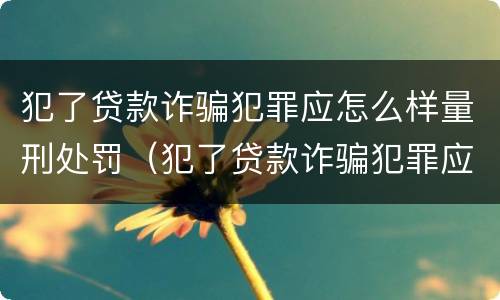 犯了贷款诈骗犯罪应怎么样量刑处罚（犯了贷款诈骗犯罪应怎么样量刑处罚多少钱）