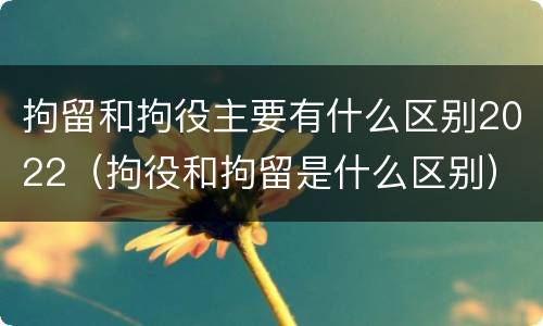 拘留和拘役主要有什么区别2022（拘役和拘留是什么区别）