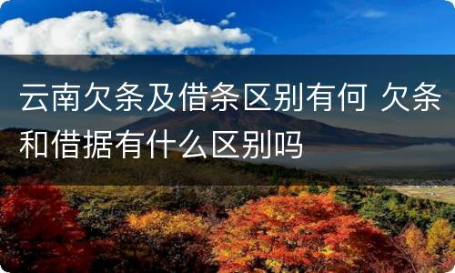 云南欠条及借条区别有何 欠条和借据有什么区别吗