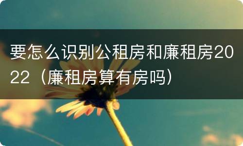 要怎么识别公租房和廉租房2022（廉租房算有房吗）
