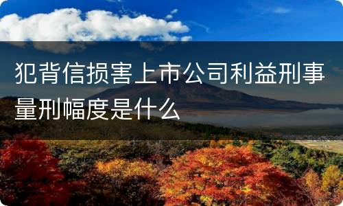 犯背信损害上市公司利益刑事量刑幅度是什么