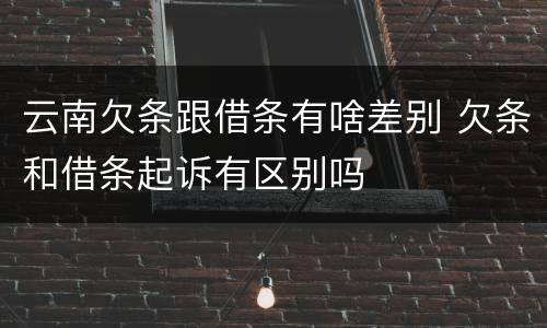 云南欠条跟借条有啥差别 欠条和借条起诉有区别吗