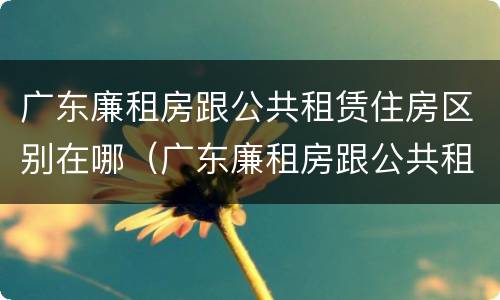 广东廉租房跟公共租赁住房区别在哪（广东廉租房跟公共租赁住房区别在哪里）
