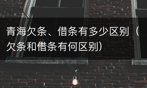青海欠条、借条有多少区别（欠条和借条有何区别）