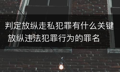 判定放纵走私犯罪有什么关键 放纵违法犯罪行为的罪名