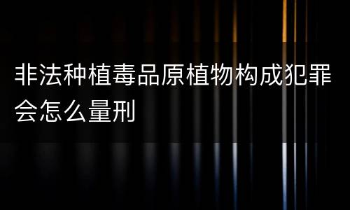 非法种植毒品原植物构成犯罪会怎么量刑