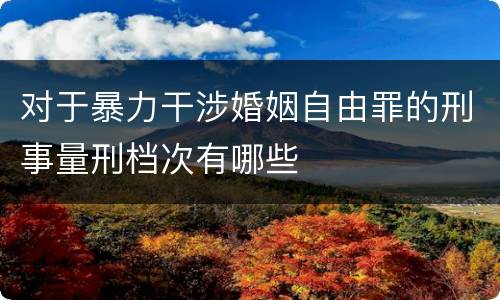 对于暴力干涉婚姻自由罪的刑事量刑档次有哪些