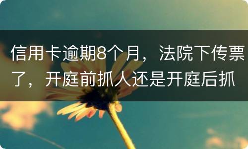信用卡逾期8个月，法院下传票了，开庭前抓人还是开庭后抓人