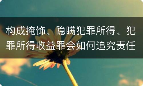 构成掩饰、隐瞒犯罪所得、犯罪所得收益罪会如何追究责任