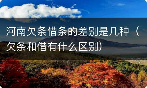 河南欠条借条的差别是几种（欠条和借有什么区别）