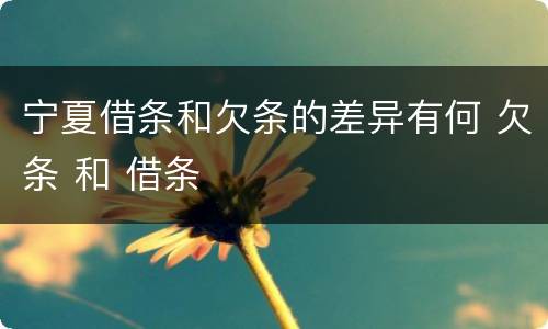 宁夏借条和欠条的差异有何 欠条 和 借条