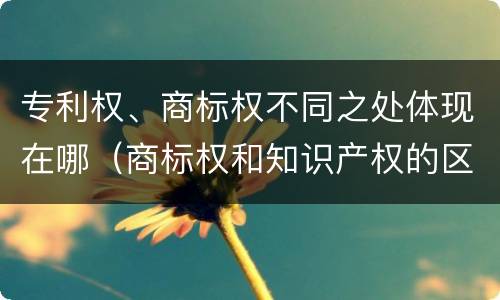 专利权、商标权不同之处体现在哪（商标权和知识产权的区别）