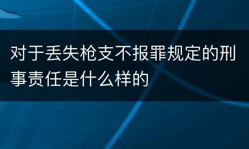 对于丢失枪支不报罪规定的刑事责任是什么样的