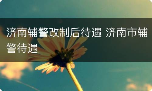 济南辅警改制后待遇 济南市辅警待遇