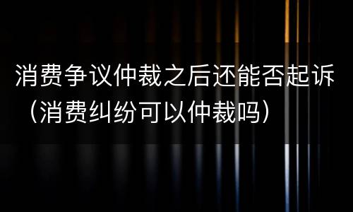 消费争议仲裁之后还能否起诉（消费纠纷可以仲裁吗）