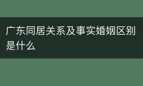 广东同居关系及事实婚姻区别是什么