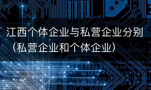江西个体企业与私营企业分别（私营企业和个体企业）
