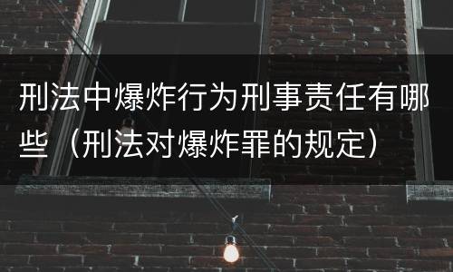 刑法中爆炸行为刑事责任有哪些（刑法对爆炸罪的规定）