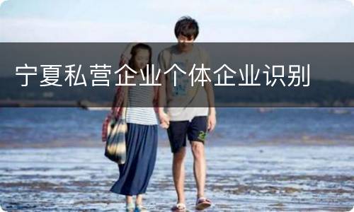 宁夏私营企业个体企业识别