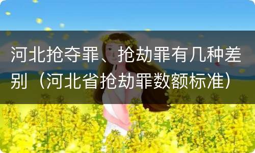 河北抢夺罪、抢劫罪有几种差别（河北省抢劫罪数额标准）
