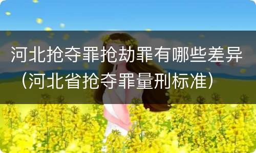 河北抢夺罪抢劫罪有哪些差异（河北省抢夺罪量刑标准）