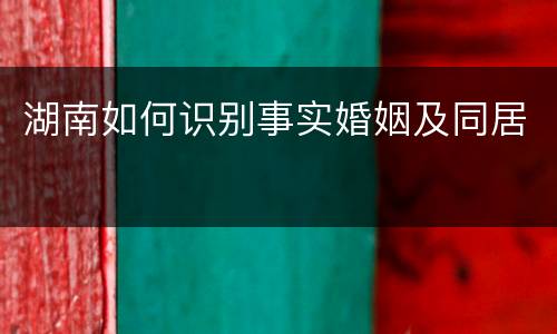湖南如何识别事实婚姻及同居