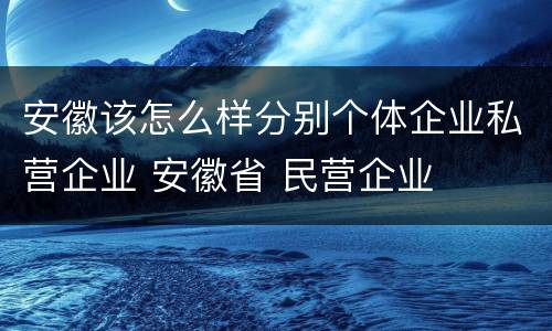 安徽该怎么样分别个体企业私营企业 安徽省 民营企业