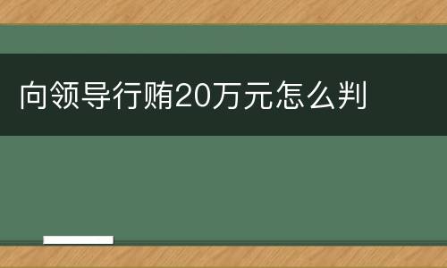 向领导行贿20万元怎么判