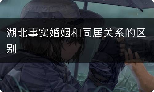 湖北事实婚姻和同居关系的区别