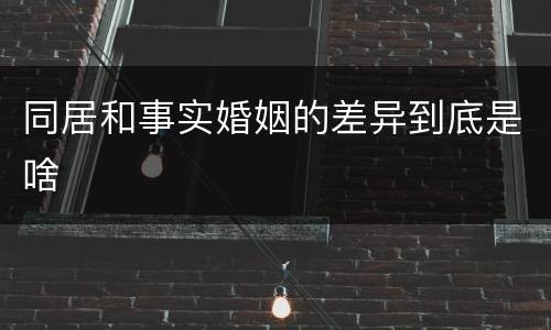 同居和事实婚姻的差异到底是啥