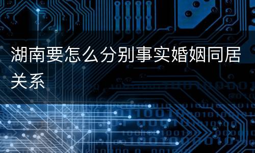 湖南要怎么分别事实婚姻同居关系