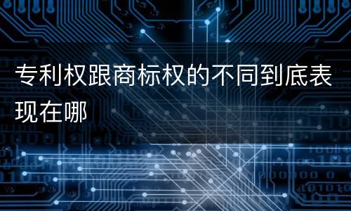 专利权跟商标权的不同到底表现在哪