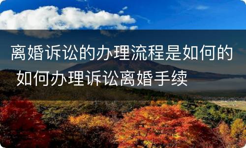 离婚诉讼的办理流程是如何的 如何办理诉讼离婚手续
