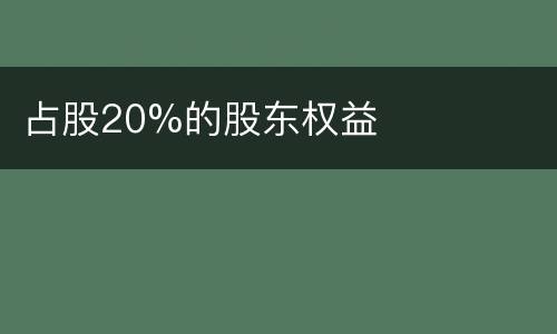 占股20%的股东权益