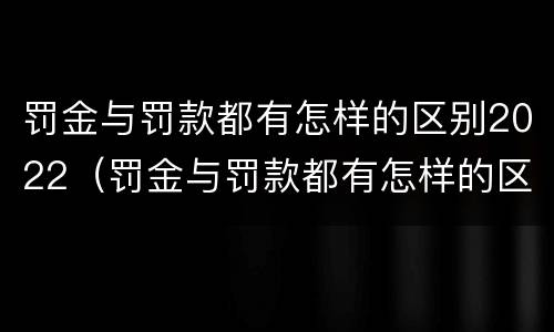 罚金与罚款都有怎样的区别2022（罚金与罚款都有怎样的区别2022年）