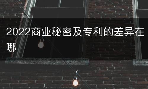 2022商业秘密及专利的差异在哪