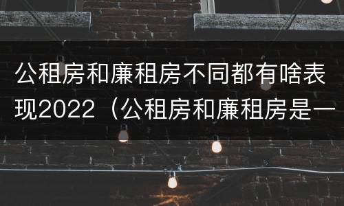 公租房和廉租房不同都有啥表现2022（公租房和廉租房是一样吗）