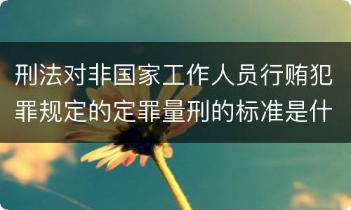 刑法对非国家工作人员行贿犯罪规定的定罪量刑的标准是什么样的