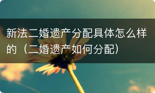 新法二婚遗产分配具体怎么样的（二婚遗产如何分配）