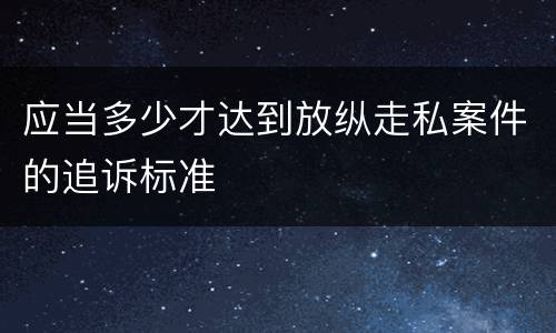 应当多少才达到放纵走私案件的追诉标准