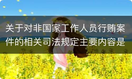 关于对非国家工作人员行贿案件的相关司法规定主要内容是什么