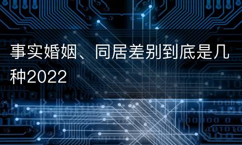 事实婚姻、同居差别到底是几种2022