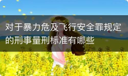 对于暴力危及飞行安全罪规定的刑事量刑标准有哪些