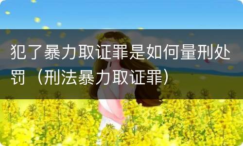 犯了暴力取证罪是如何量刑处罚（刑法暴力取证罪）