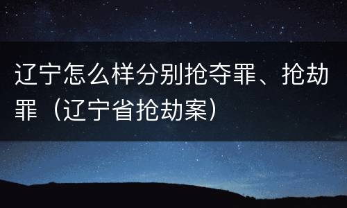 辽宁怎么样分别抢夺罪、抢劫罪（辽宁省抢劫案）