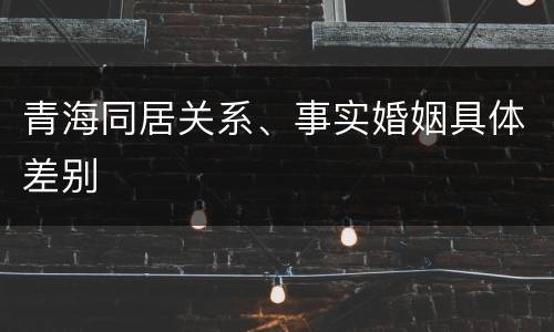 青海同居关系、事实婚姻具体差别