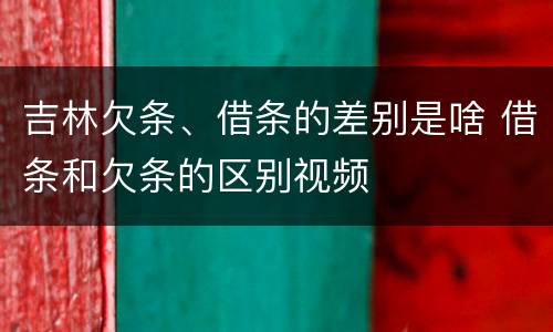 吉林欠条、借条的差别是啥 借条和欠条的区别视频