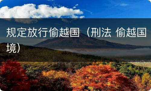 规定放行偷越国（刑法 偷越国境）